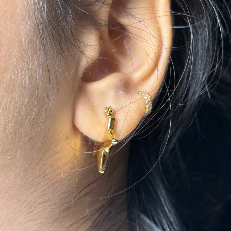 Hoop Earrings