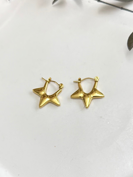 Hoop Earrings