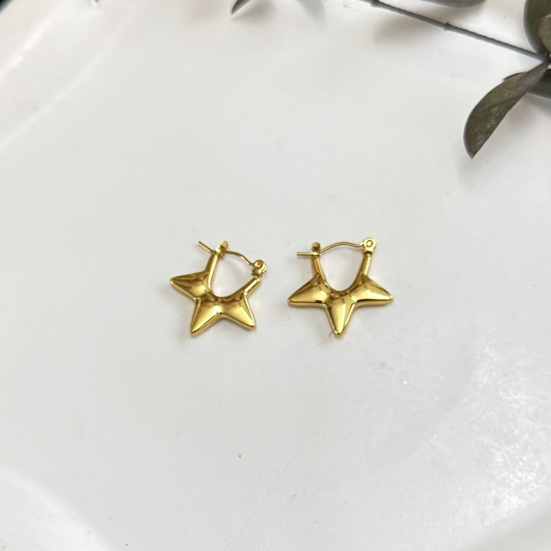 Hoop Earrings