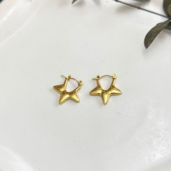 Classic Hoop Earrings