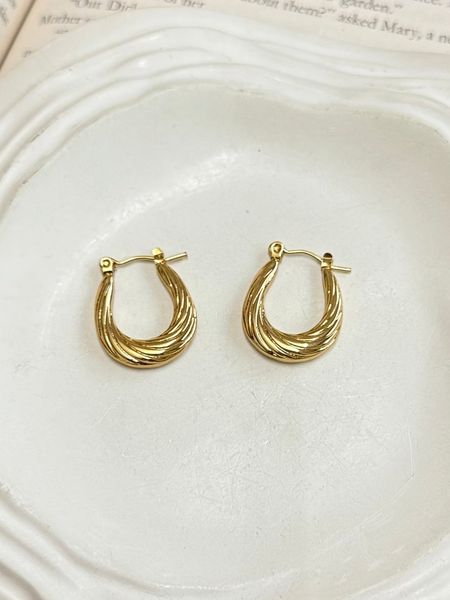 Hoop Earrings